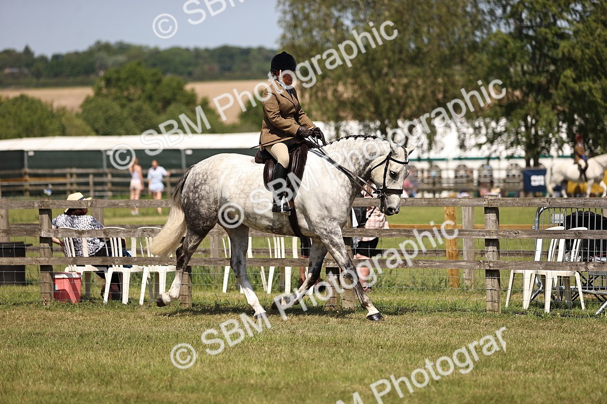 SBM_17703 - Class 81-83 - TSR Ridden Amateur of the Year - Horses