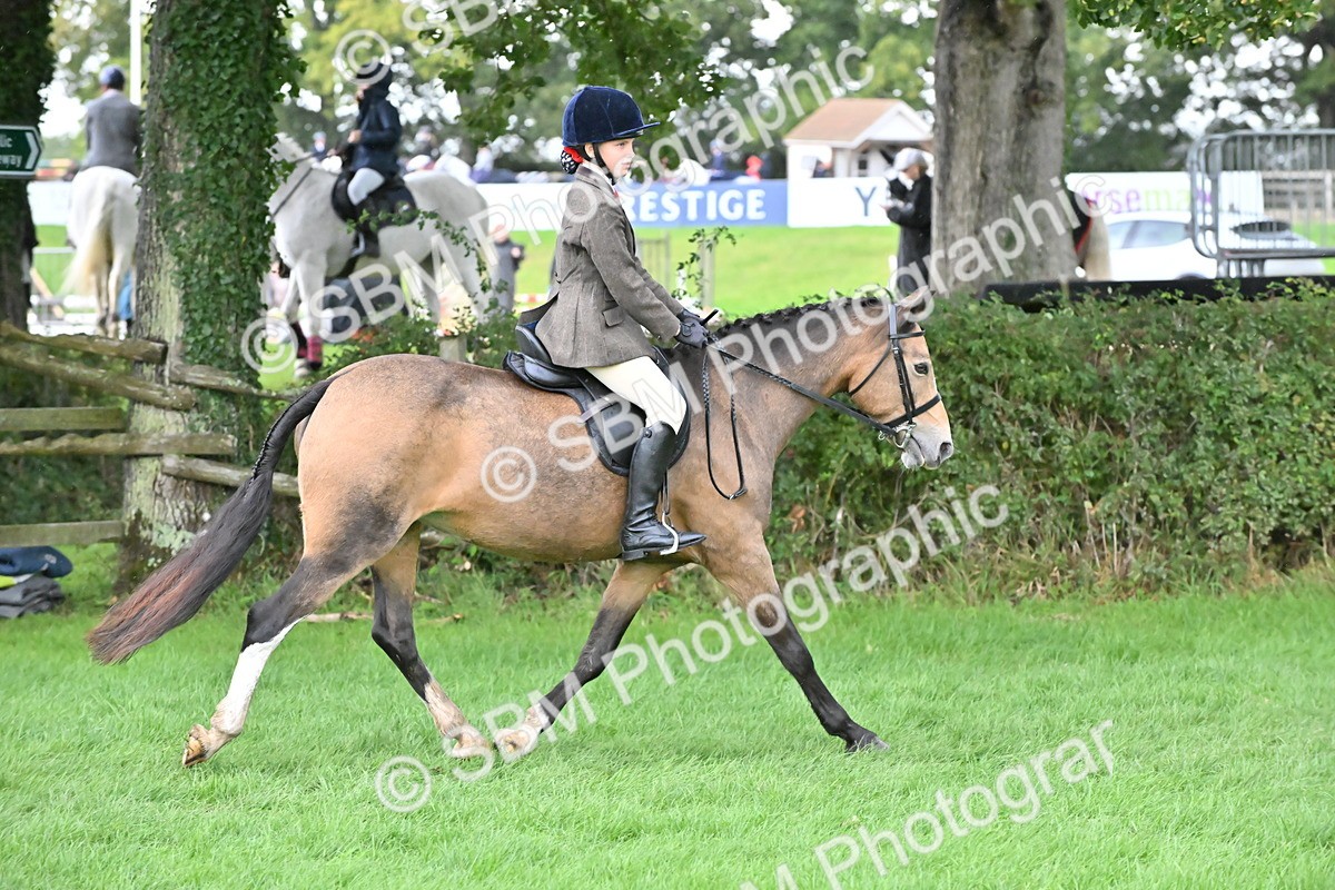 SBM_42951 - S12 - Family Horse & Pony