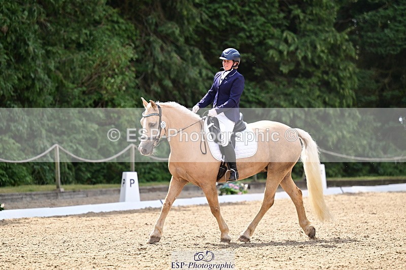 260802A-111147-05728 - Novice Silver break - break