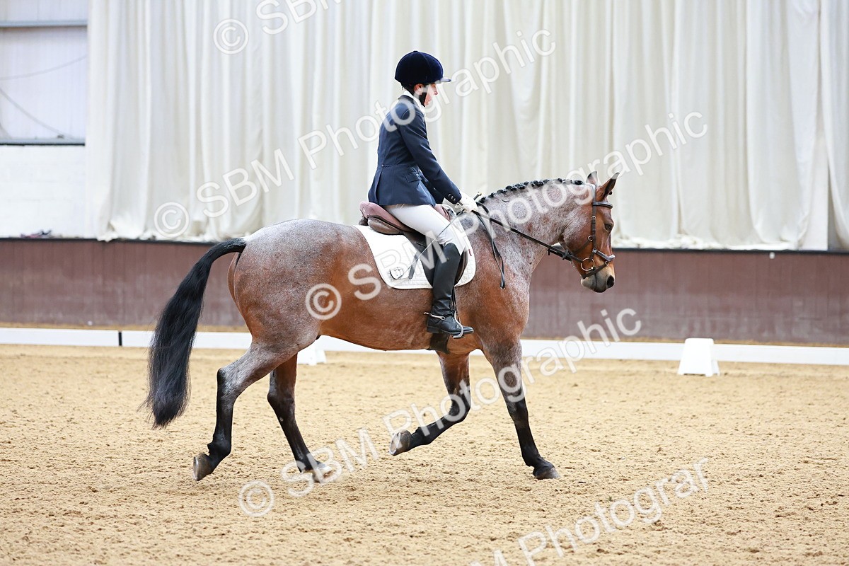 SBM_000675 - Class 5 - CT Novice 2-70cm