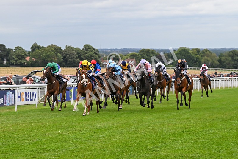 150824-Race 6-Captain Corelli-8631 - Race 6