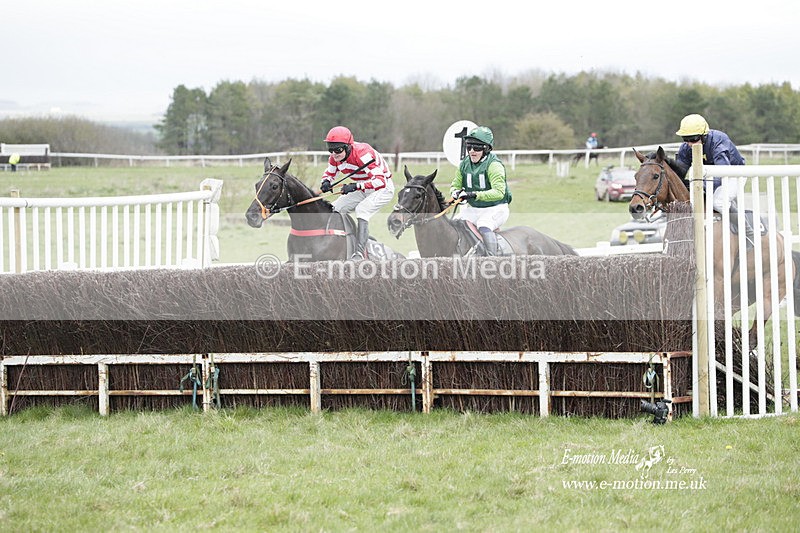 PtP 260323 0485 - New Forest Hounds Point-to-Point Larkhill 26/03/23