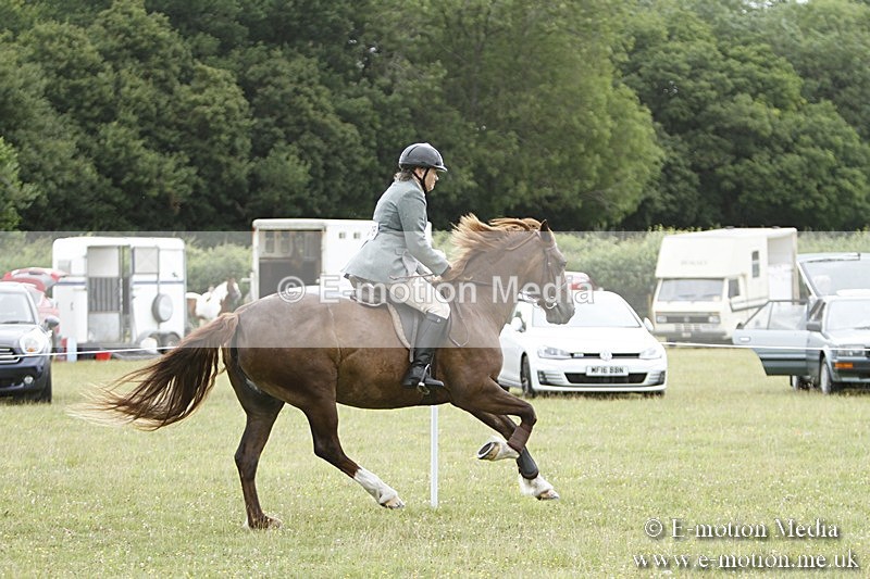 BVR160717-417 - Ring 3 BVRC Show 16/07/17