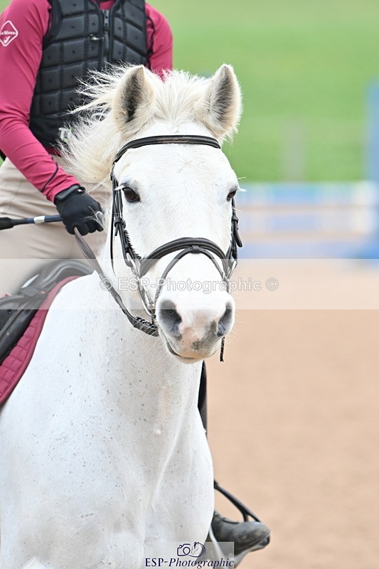 231217A-111159-00449 - 80cm