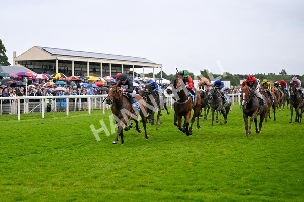 150624-Race 7-Holkham Bay-8190 - Race 7 5.25pm Fordy Marshall Land And Property Consultants Handicap