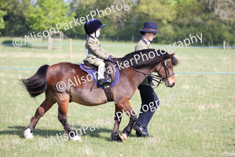 20250427-0097 - Class 30 - Tiny Tots Lead Rein