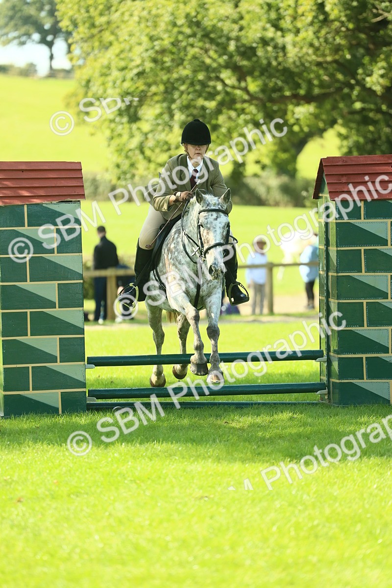 SBM_39261 - S29 - Novice & Newcomers Working Hunter Pony