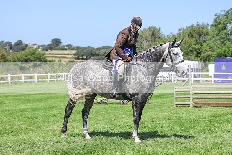 3E7A9310 - Working Hunter Championship