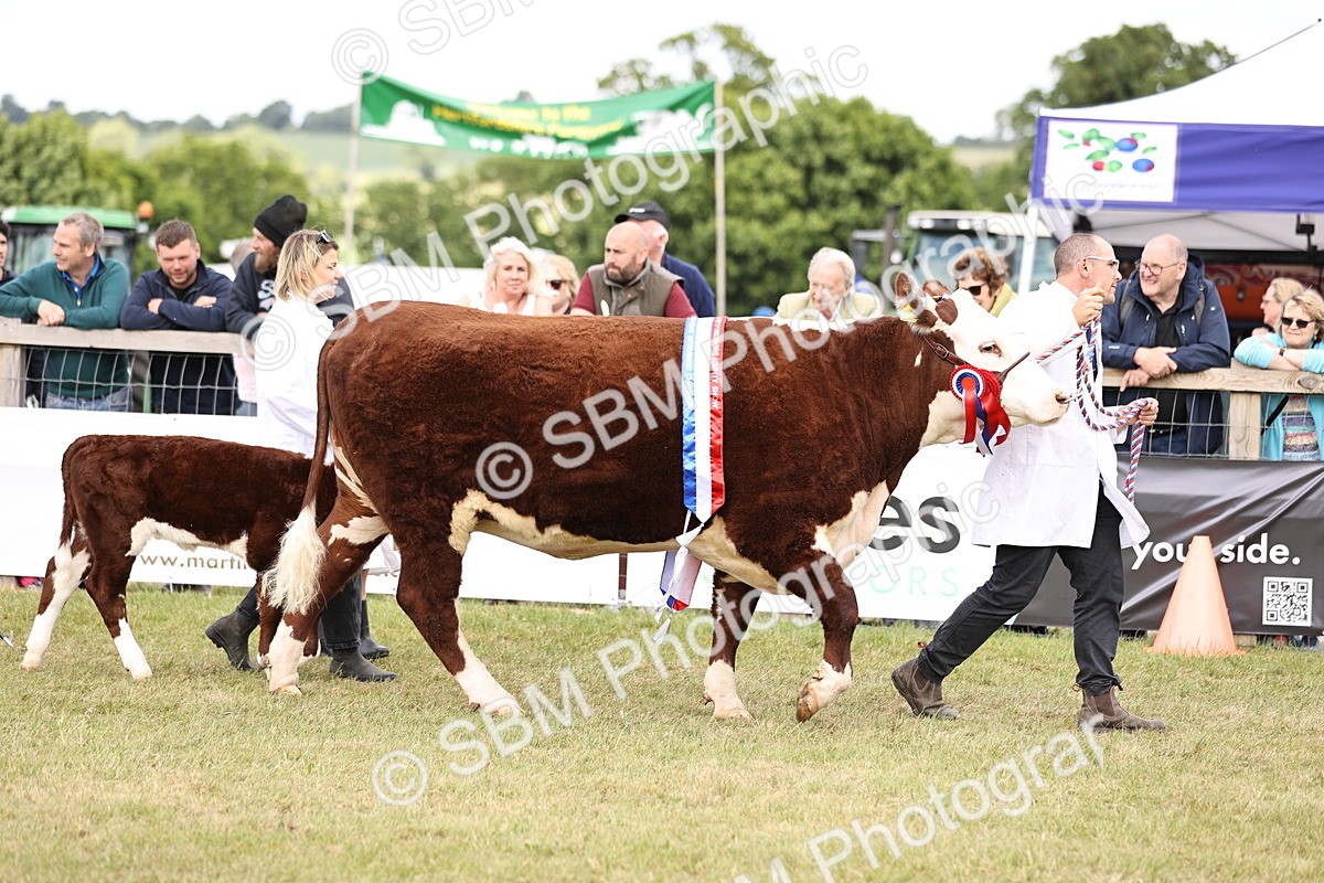 SBM_16874 - Grand Parade