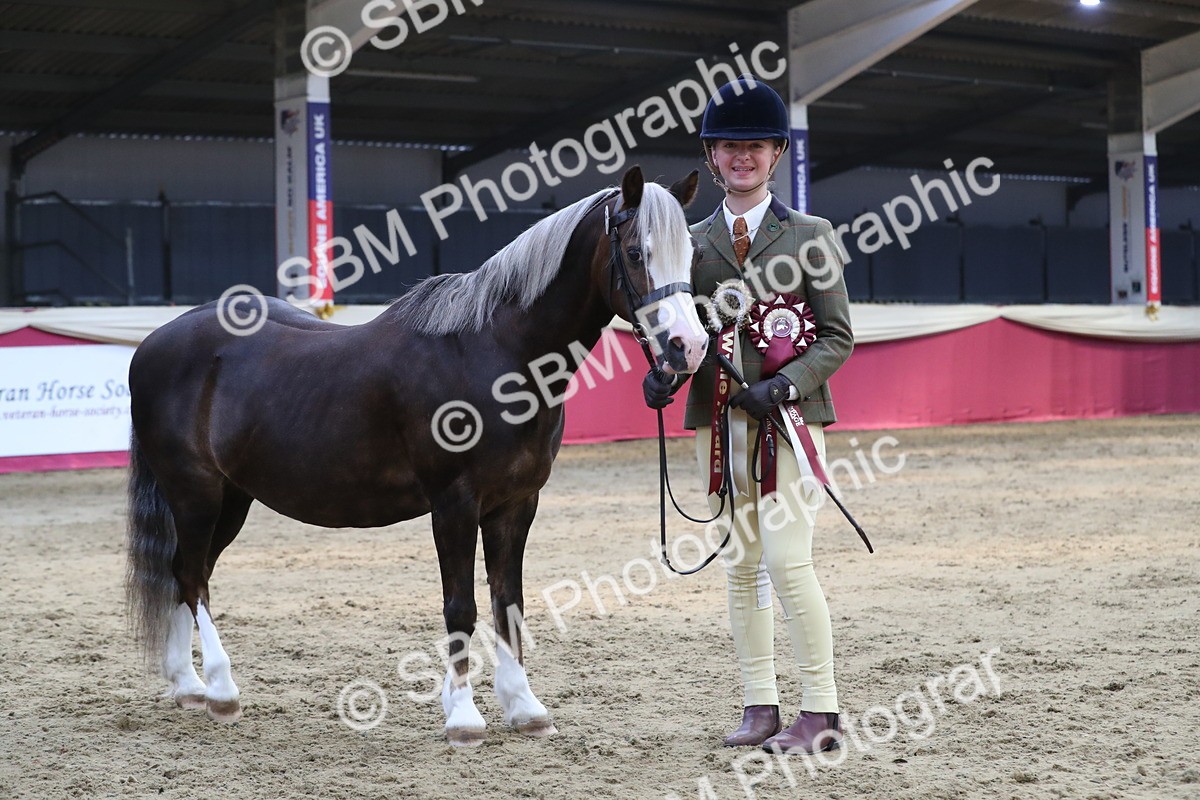 SBM_06599 - Regional IH Champ