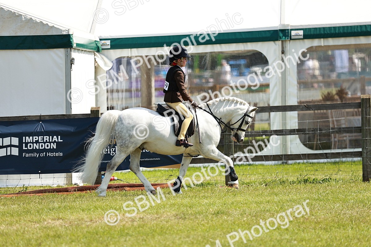 SBM_13544 - Class 108-109 - BSPS LIHS Open Gradle & Nursery Stakes