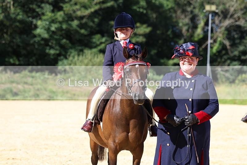 3E7A7952 - Class 14: Tack and Turnout