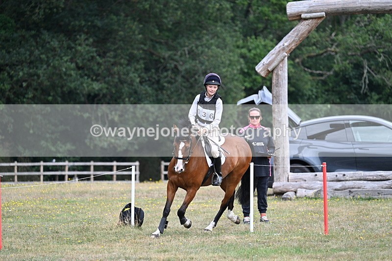 WJ7_0988 - XC Time 11:23 to 11:40
