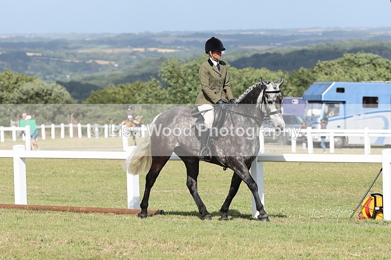 JPP_2848 - Class 20: Working Hunter 70cm