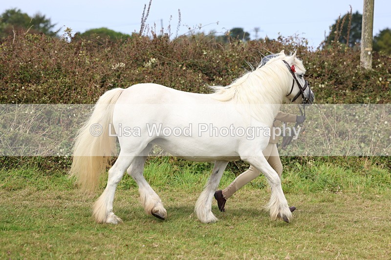 3E7A4594 - Class 16: Best Grass Kept