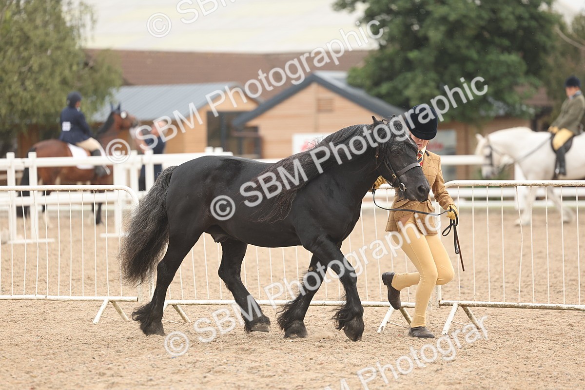 SBM_00477 - Class 13 Young Handler