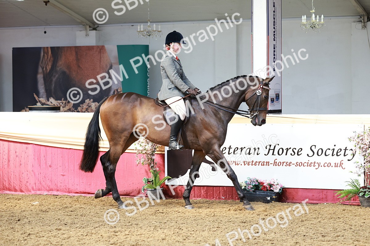 SBM_14880 - Class 108 - Ridden Retired Racehorse