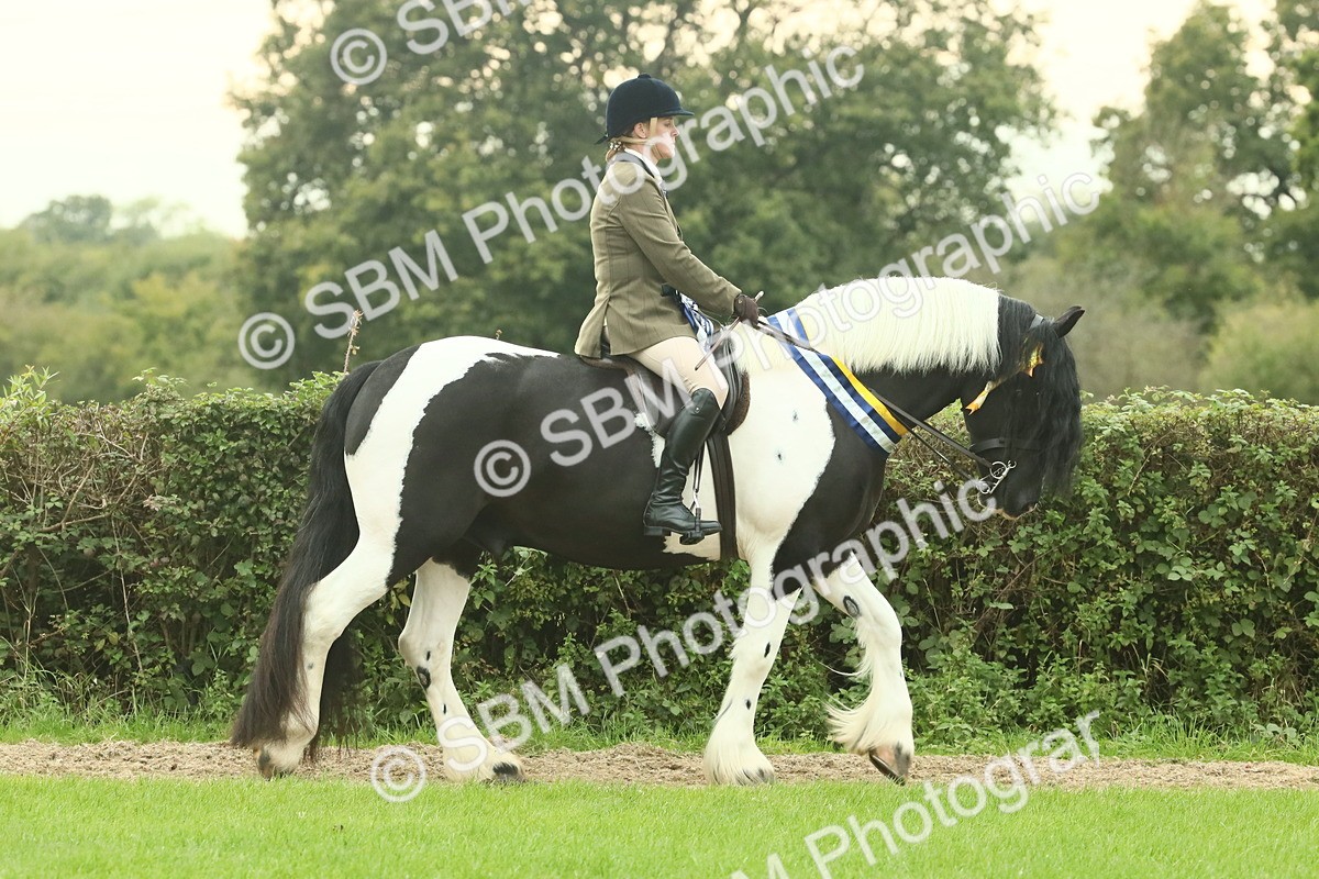 SBM_75137 - Super Supreme Championship