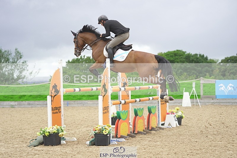 230730A-160930-11011 - Cls 29 Foxhunter