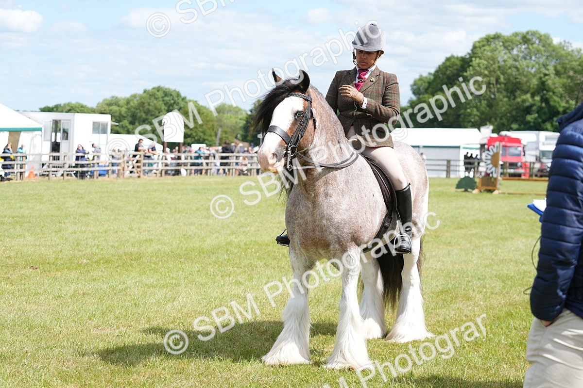 SBM_17191 - Class 107-108 - LIHS BSPS Performance Coloured Horse Pony