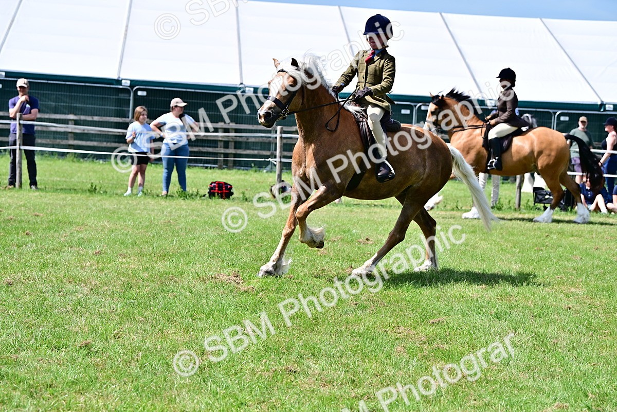 SBM_07916 - Class 61-62 - TSR  M&M Ridden Amateur of the Year