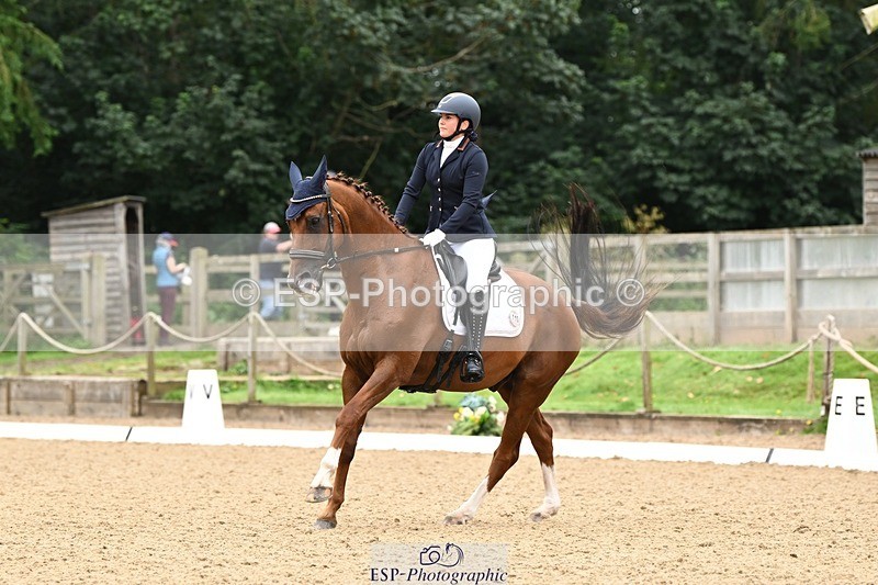 240811-102232-05002 - 110-Helen.Kitto-Da.Vinci.IV