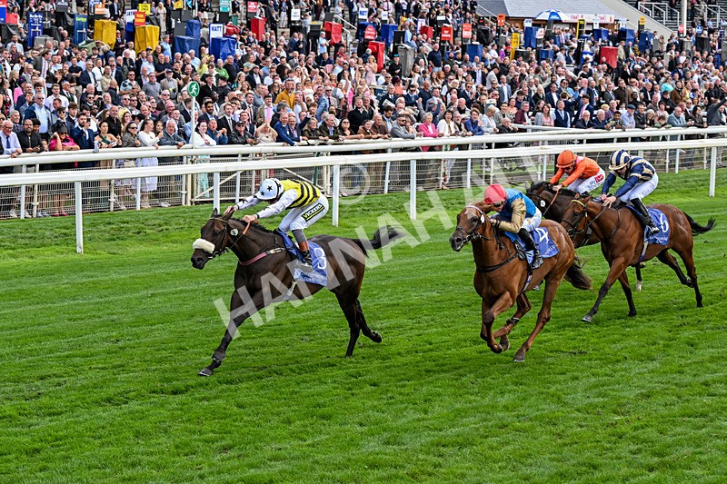 210826-Race 3-Arapaho Gold-0196 - Race 3 15.00pm Al Basti Equiworld Dubai Gimcrack Stakes