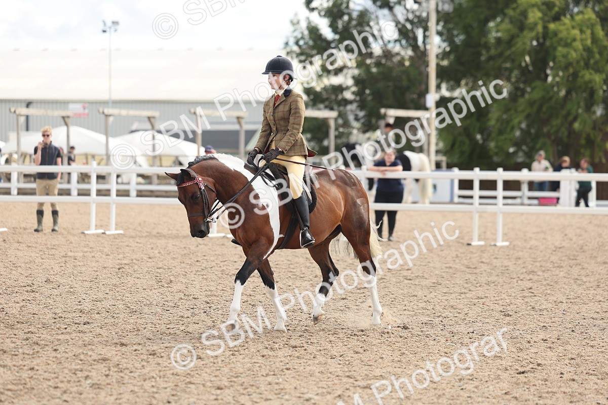 SBM_14656 - Class 307 - Ridden Coloured Pony