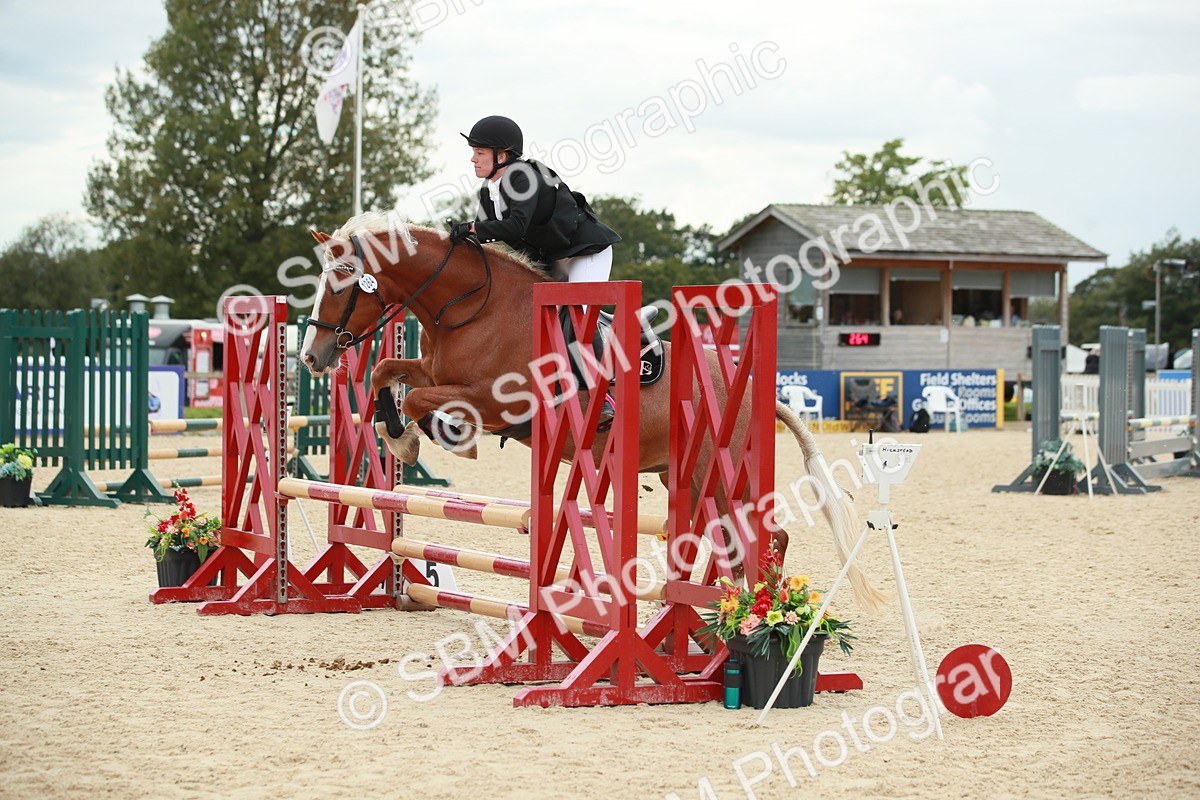 SBM_10123 - J31 Senior 75cm Championship