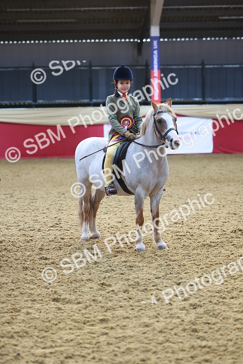 SBM_07762 - Class 101 - HOYS Veteran Qualifier - Ridden Diamond