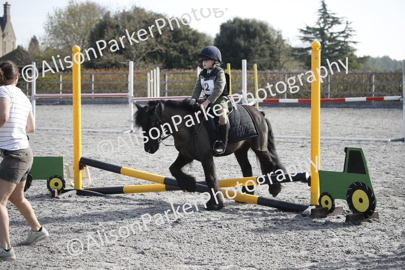 20250412-0105 - Show Jumping
