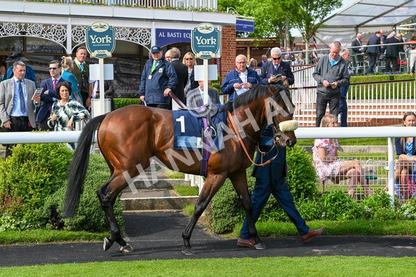 160524-Race 5-Big Evs-6197 - Race 5 4.15pm  British Stallion Studs EBF Westow Stakes