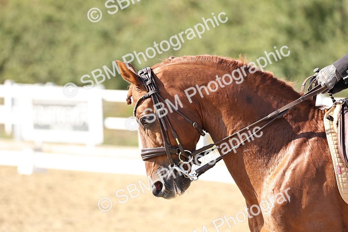 SBM_015356 - Class 9 - Advanced medium 3