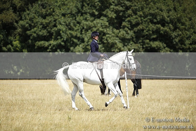 _C7A0234 - Side Saddle Classes BVRC Show 2018