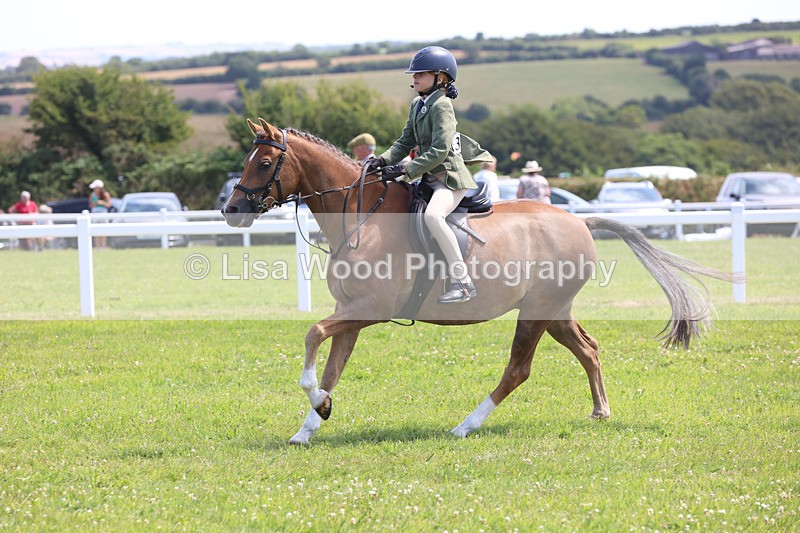 JPP_2663 - Class 21: Working Hunter 60cm