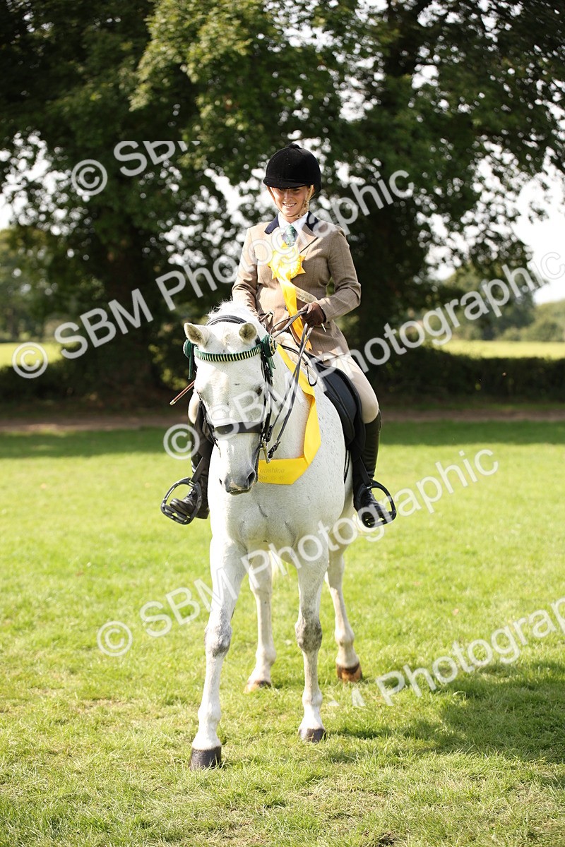 SBM_65995 - S64 - Riding Horse & Hack & Thoroughbred Ridden