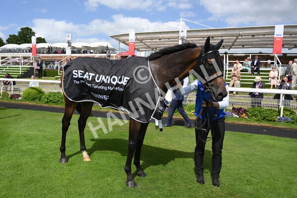 yr10062022r4-48 - Race 4 3.30pm Seat Unique Ganton Stakes