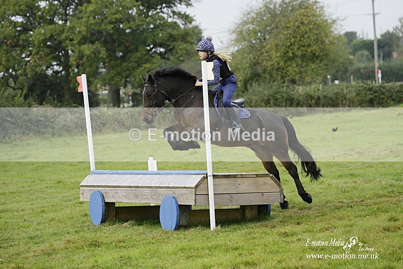  WWHT 171021 0960 - Open Novice (0.80m)  17/10/21