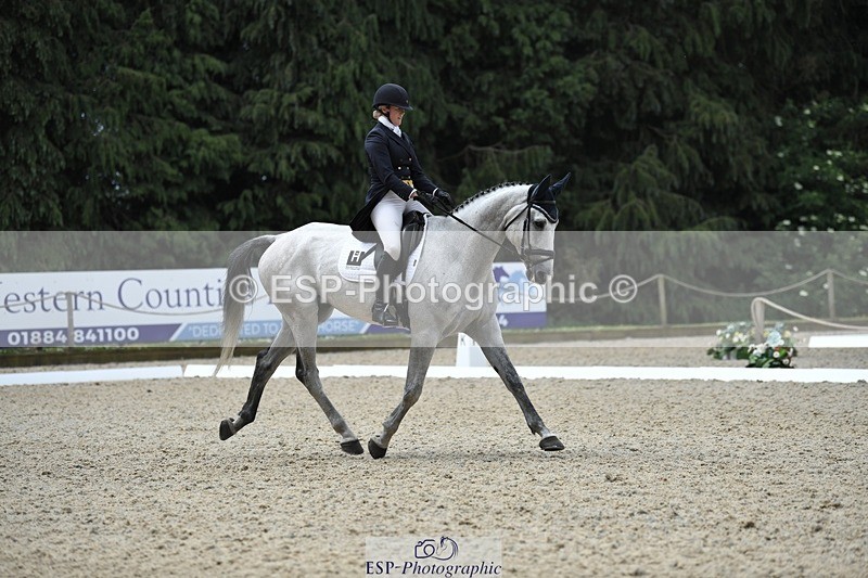 230525-113811-01868 - 102-BANDITO_VAN_POLDERZICHT-Grace_Taylor-WEDTrotUp+DR