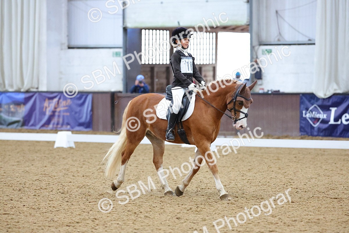 SBM_004188 - Intermediate