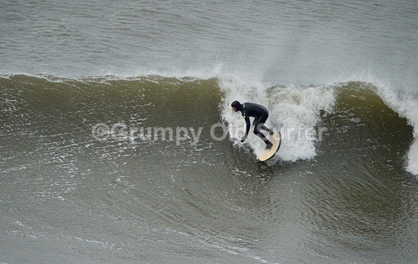 DSC_1787 - Cayton Bay - 11th April 2017