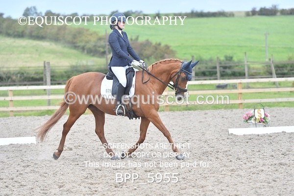 BPP_5955 - PRELIM TEST 5 LONG ARENA