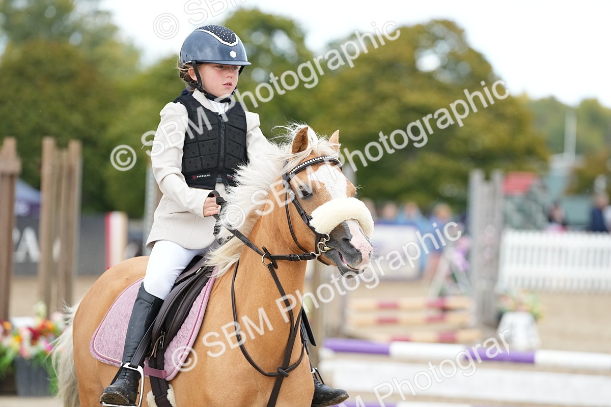 SBM_20719 - J49 - Open 50cm