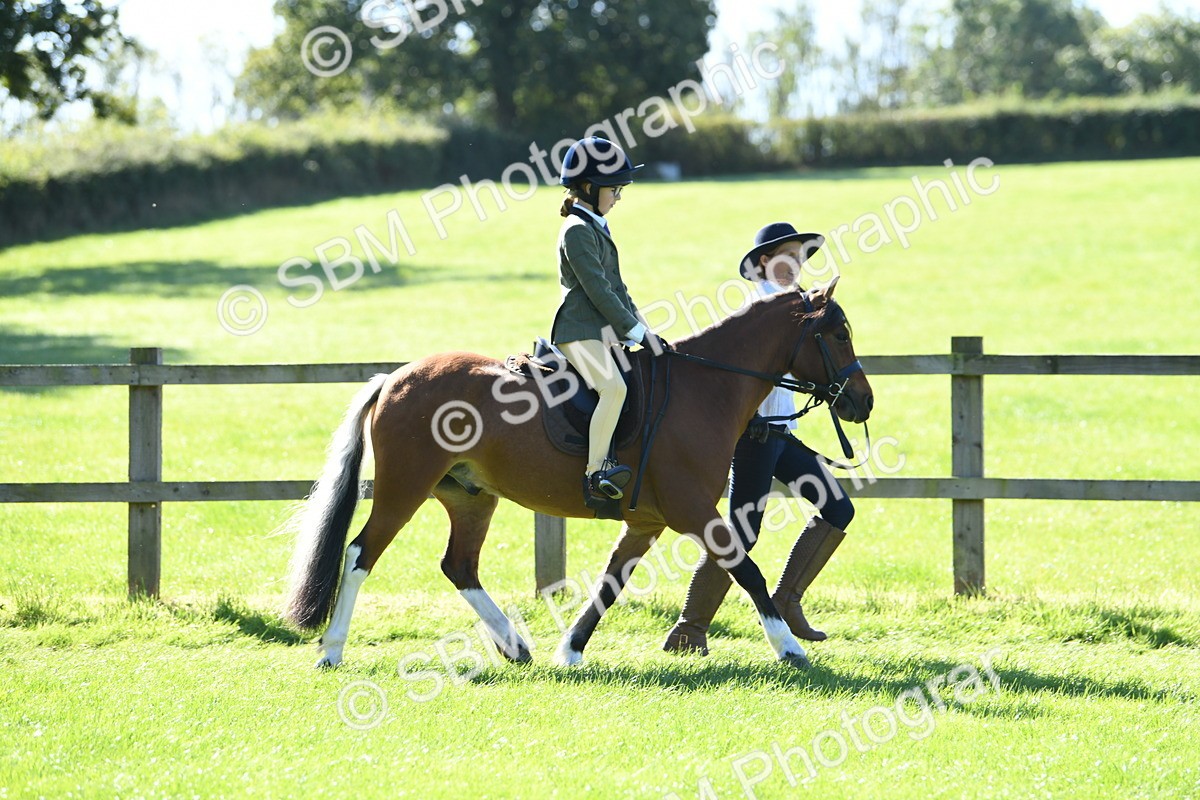 SBM_39509 - S18 - Novice & Newcomers Lead Rein Pony