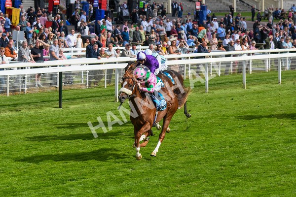 170523-Race 6-Mon Na Slieve-0793 - Race 6 4.45pm British EBF 40th Anniversary Novice Stakes