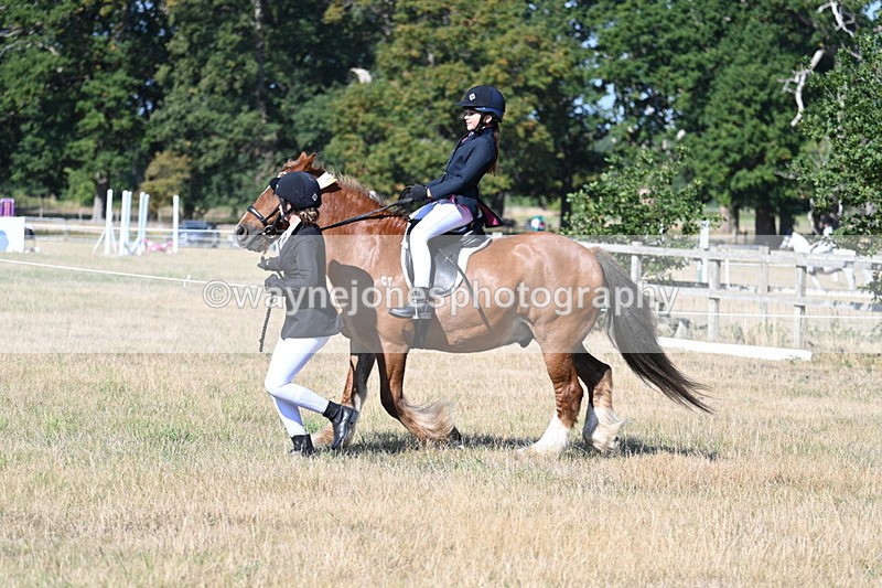 WJ7_3307 - Class 8 Ridden Tack & Turnout