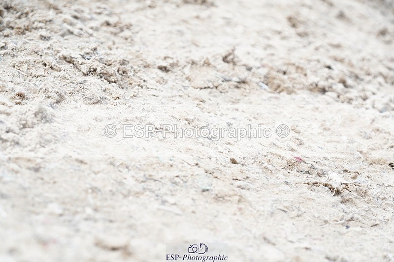 250615A-141030-11369 - Class 47 Snr British Novice 2nd Rnd