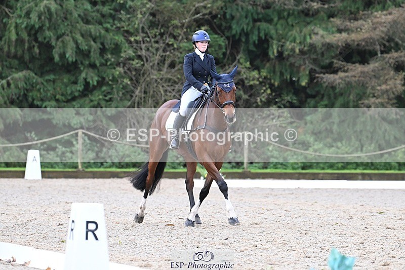 231019-113628-01851 - 040-DODINGTON-Sophie.Wildern-DR