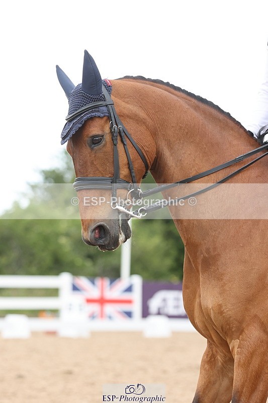 240622A-112821-09029 - Cls 30 BD Elementary 53