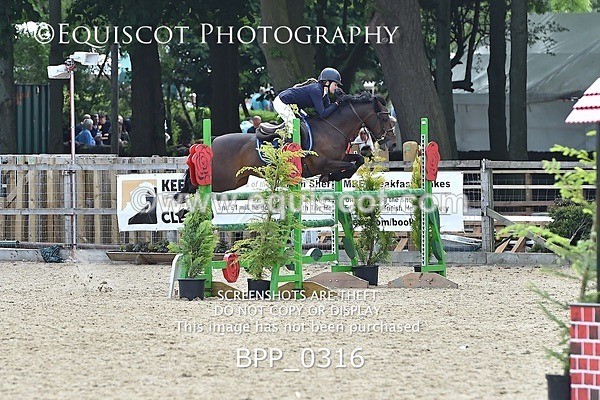 BPP_0316 - RHS 2019 Selection - *Just some random spectator shots so Lucky Dip if you are there!
